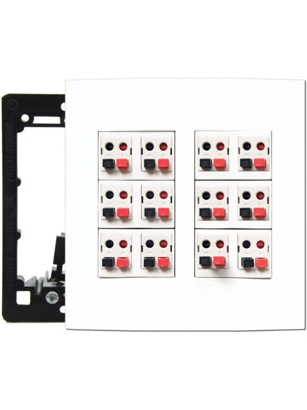 Screwless 12 Speaker Wall Plate - 2 Gang Audio Port Panel for Easy Installation